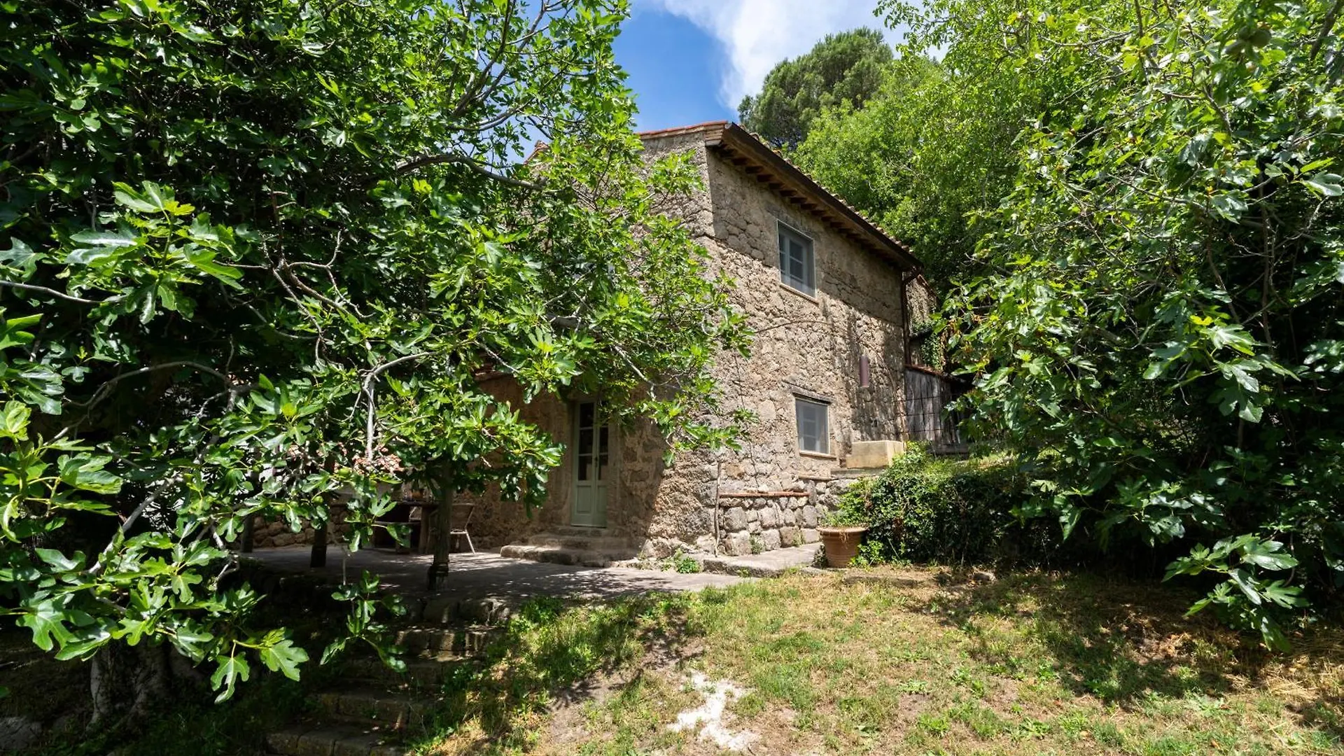 Podere Tepolino Castel del Piano  Castel del Piano (Tuscany)