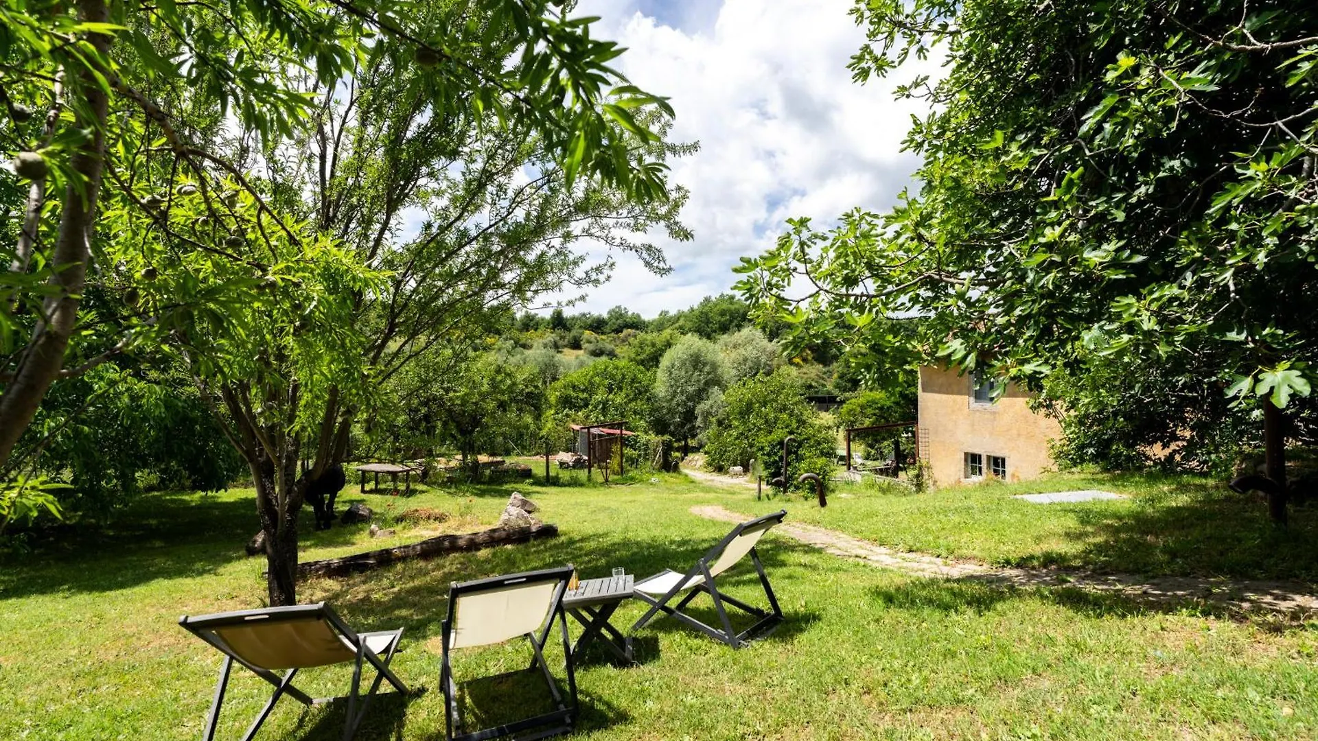 Podere Tepolino Castel del Piano  Feriehus